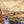 Lewis and Clark - Artist Brian Morger - Lewis and Clark Magnet